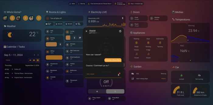 Home assistant voice control