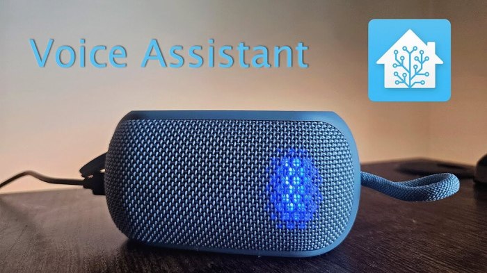 Home assistant voice control