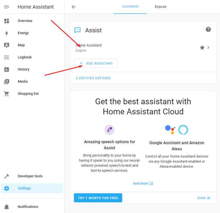 Home assistant voice control