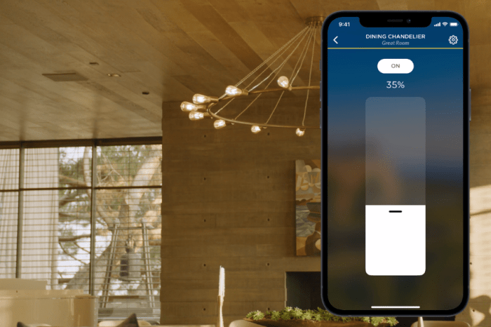 Home assistant voice control